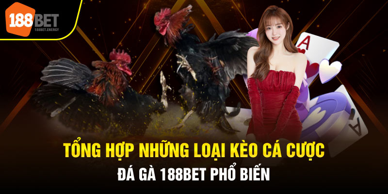 Tổng hợp những loại kèo cá cược đá gà 188BET phổ biến